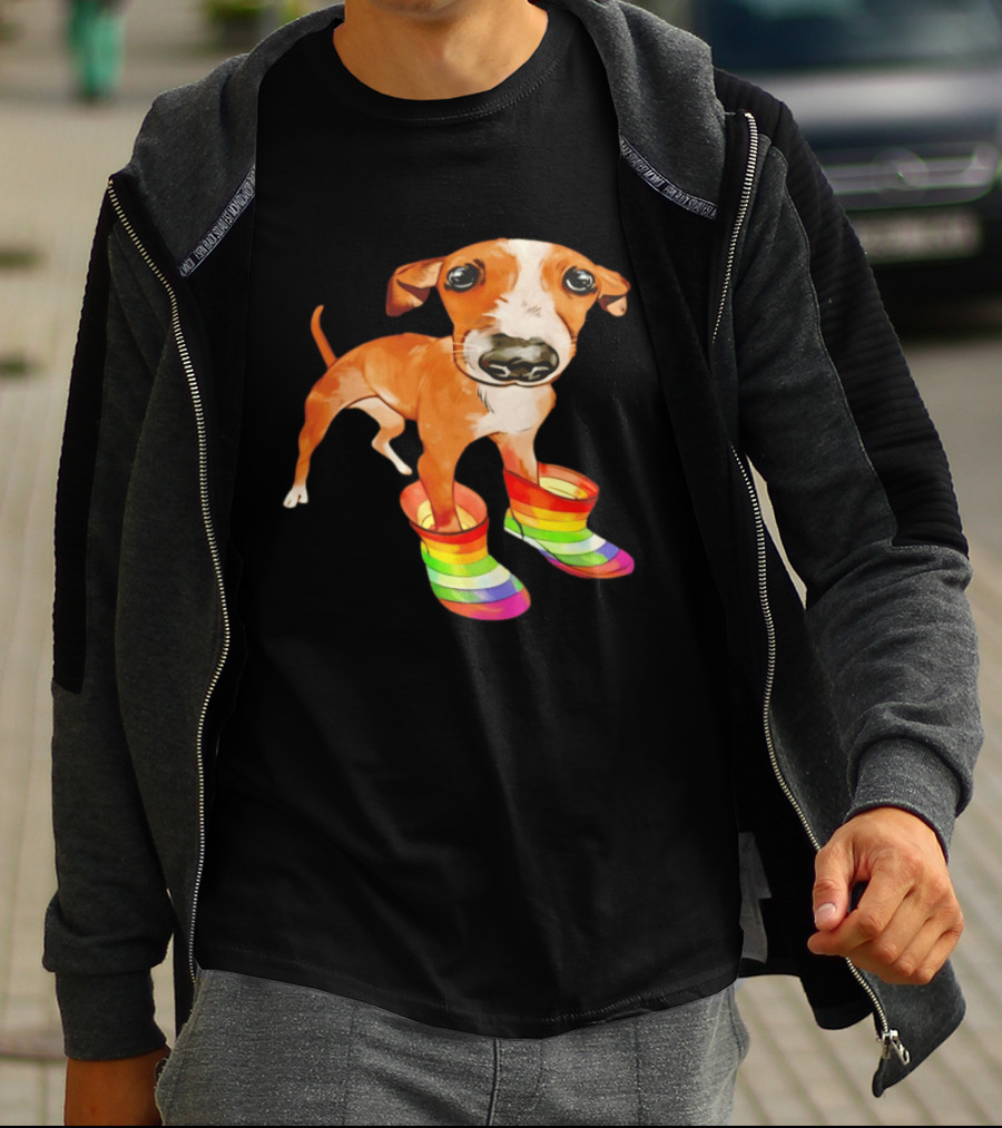 Doggie Rainbow Rainboots Puppy In Colorful Boots T-Shirt