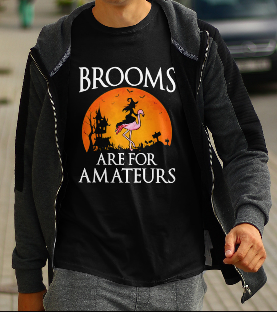 Brooms Are For Amateurs Flamingo Witch Halloween T-Shirt
