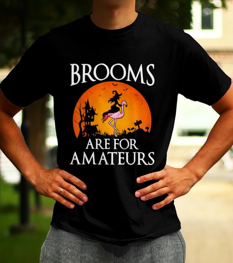 Brooms Are For Amateurs Flamingo Witch Halloween T-Shirt