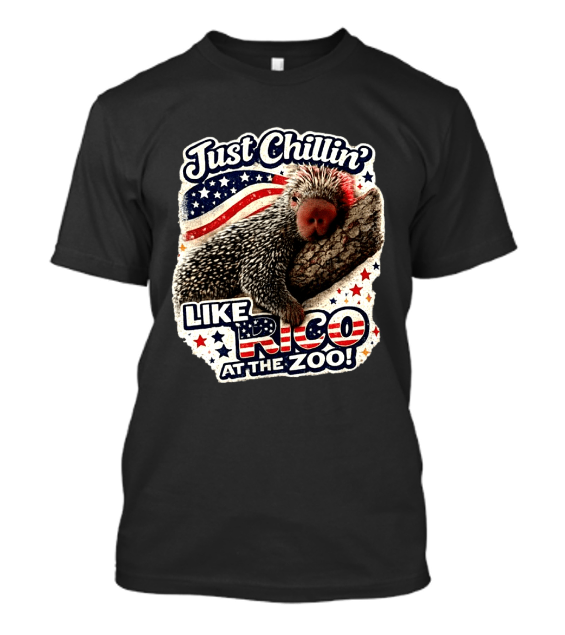 Just Chillin' Like Rico At The Zoo Patriotic Porcupine Vibes T-Shirt