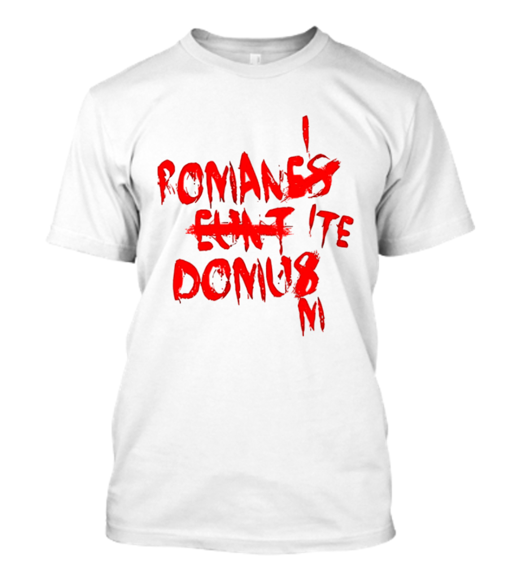 Romanes Eunt Domus Graffiti Style Python Sketch Monty Python Joke T-Shirt