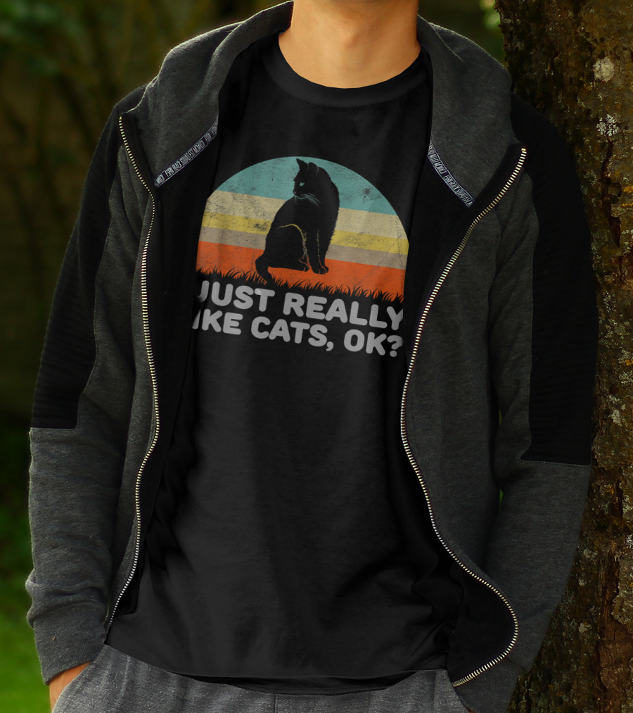 I Just Really Like Cats OK Retro T-Shirt