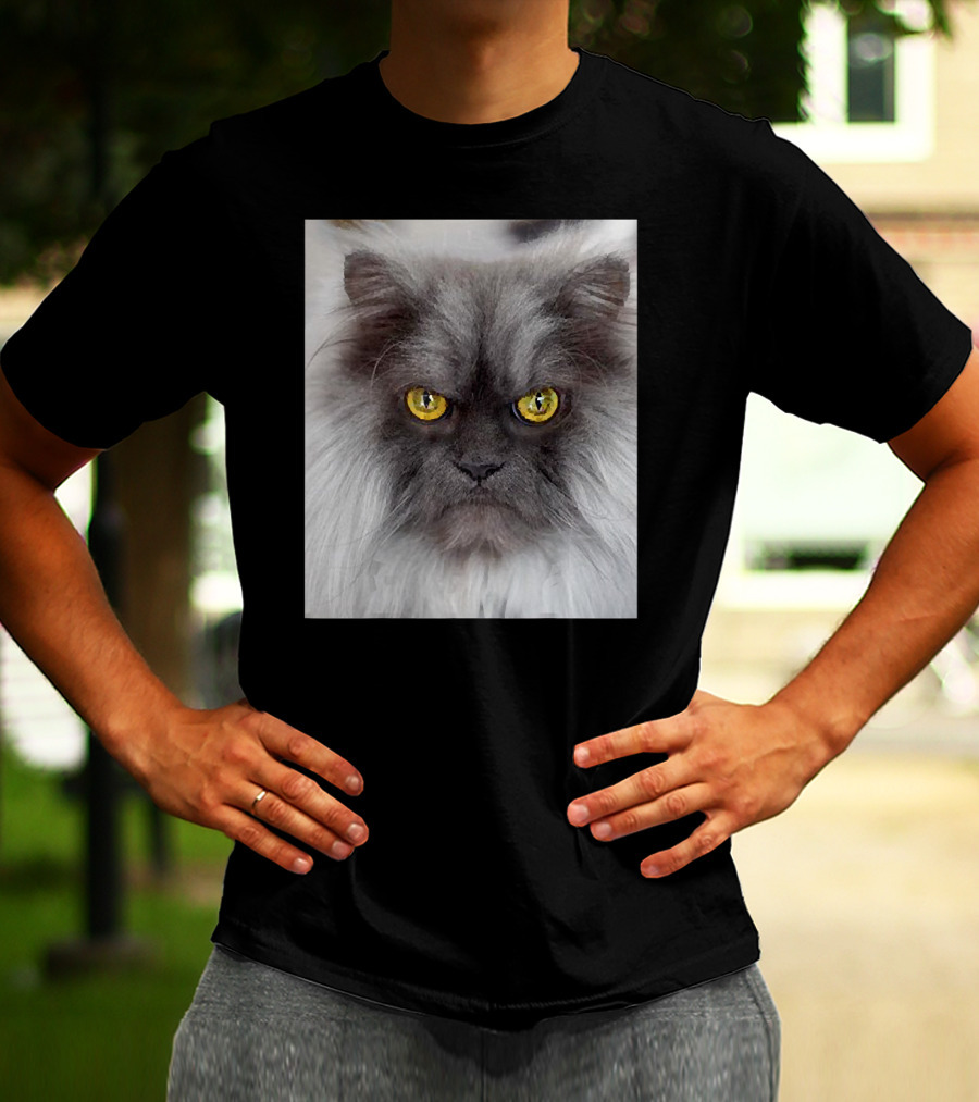 Jun The Angry Cat Golden Eyes Grumpy Expression T-Shirt