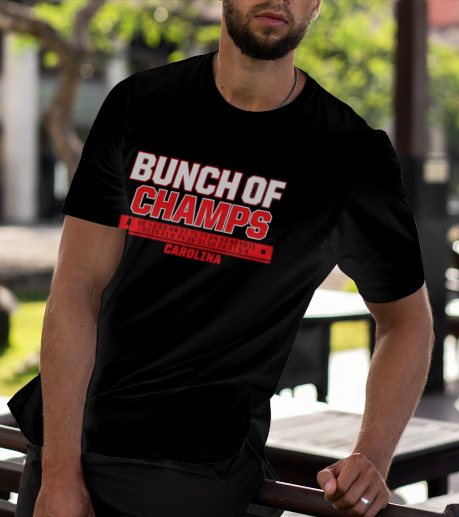 Carolina Hurricanes Bunch Of Champs 2026 T-Shirt