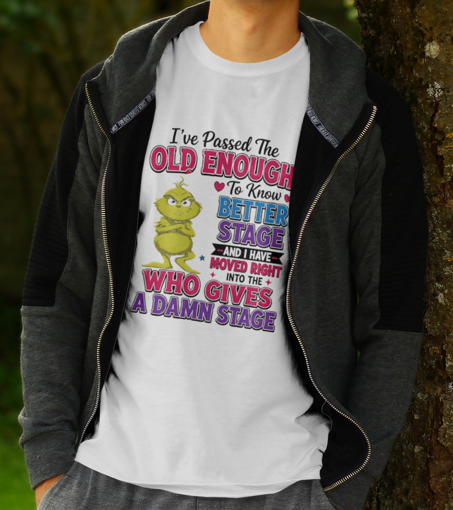Passed The Old Enough To Know Better Moved Right Into The Who Gives A Damn Stage T-Shirt