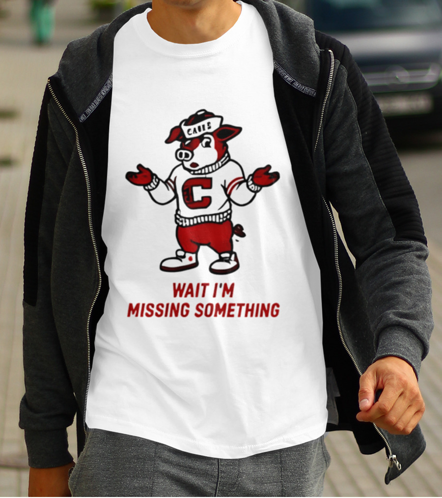 Carolina Hurricanes Wait I'm Missing Something 2026 NHL Hockey C Sweater Pig T-Shirt