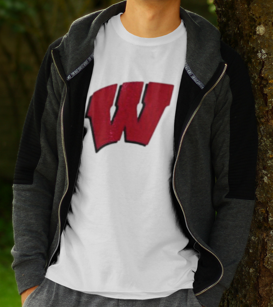 Grateful Dead Bears Wisconsin Badgers Collaboration T-Shirt