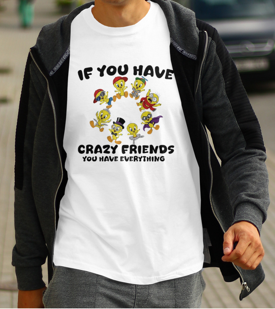 If You Have Crazy Friends You Have Everything Tweety Bird Characters T-Shirt