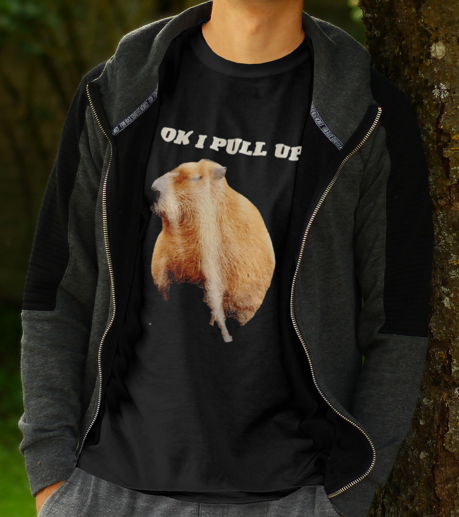 Ok I Pull Up Capybara Meme T-Shirt