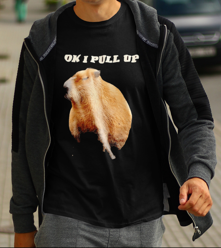 Ok I Pull Up Capybara Meme T-Shirt