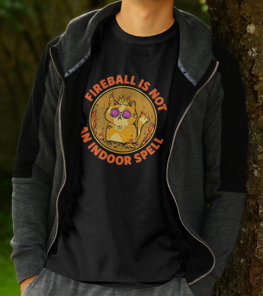 Princess Donut Fireball Is Not An Indoor Spell Dungeon Crawler Carl T-Shirt