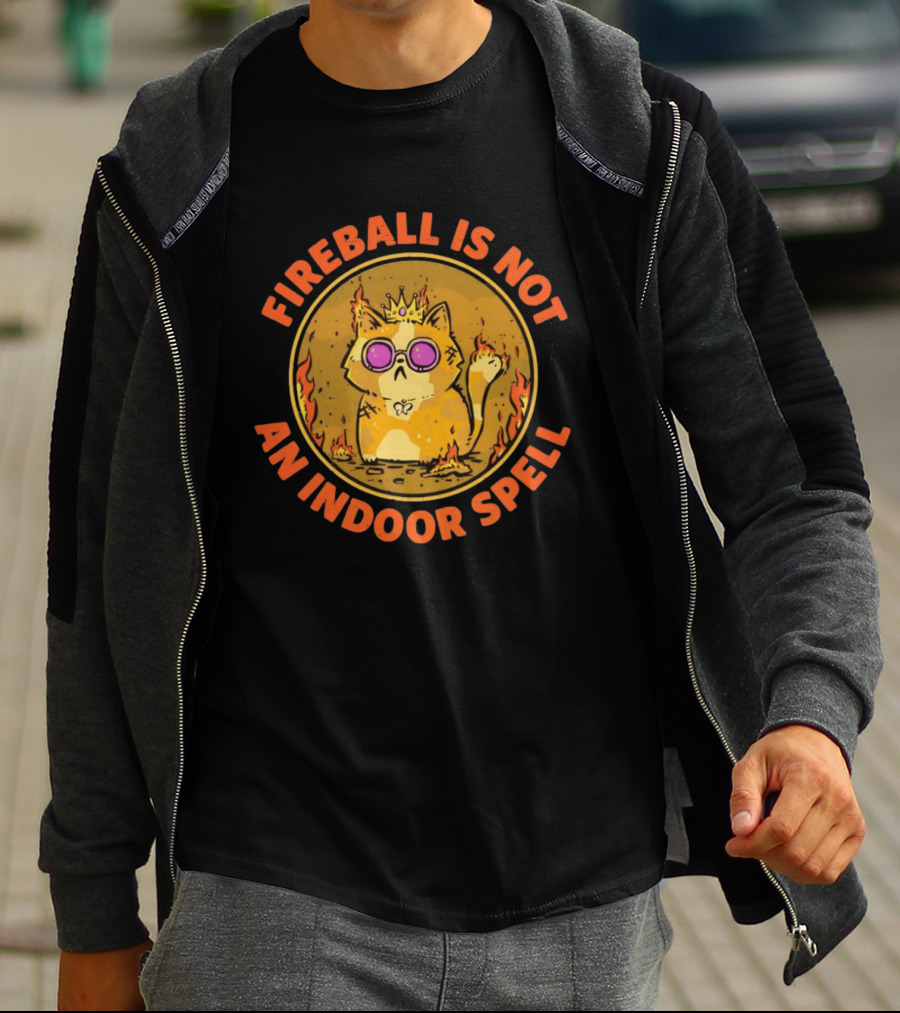 Princess Donut Fireball Is Not An Indoor Spell Dungeon Crawler Carl T-Shirt