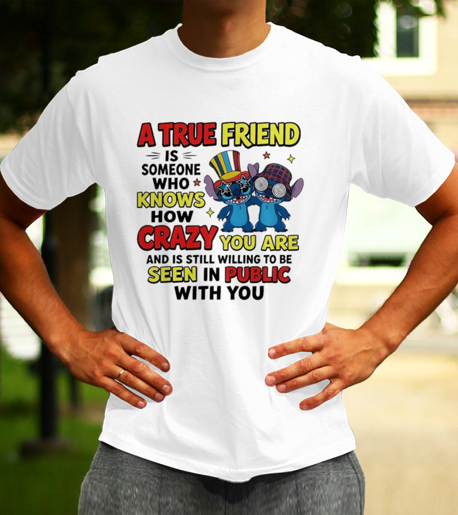 A True Friend Is Someone Who Knows How Crazy You Are And Is Still Willing To Be Seen In Public With You Stitch T-Shirt
