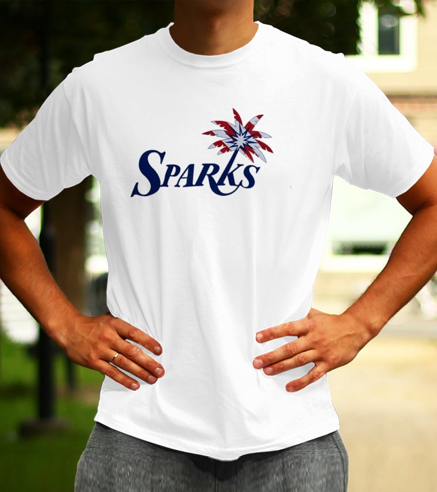 Los Angeles Sparks Stars Stripes Palm Tree Flag T-Shirt