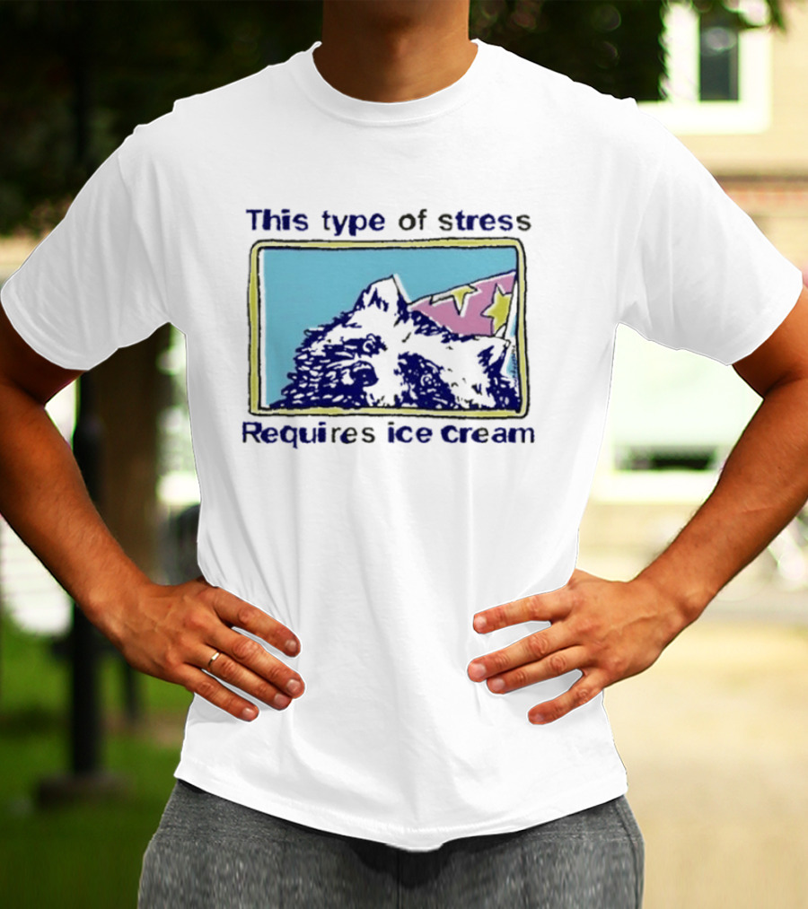 This Type Of Stress Requires Ice Cream Raccoon Meme T-Shirt