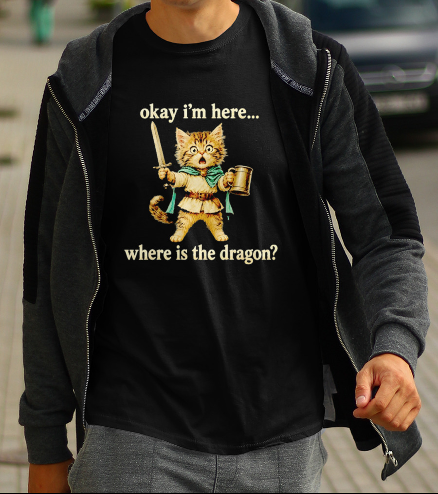 Okay I'm Here Where Is The Dragon Cat Knight Sword Adventure T-Shirt