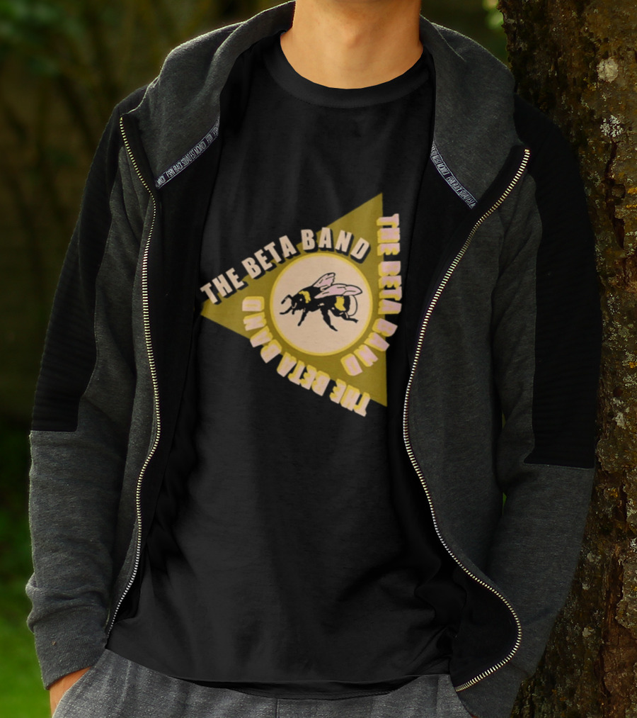 The Beta Band Triangle Honeybee Session T-Shirt