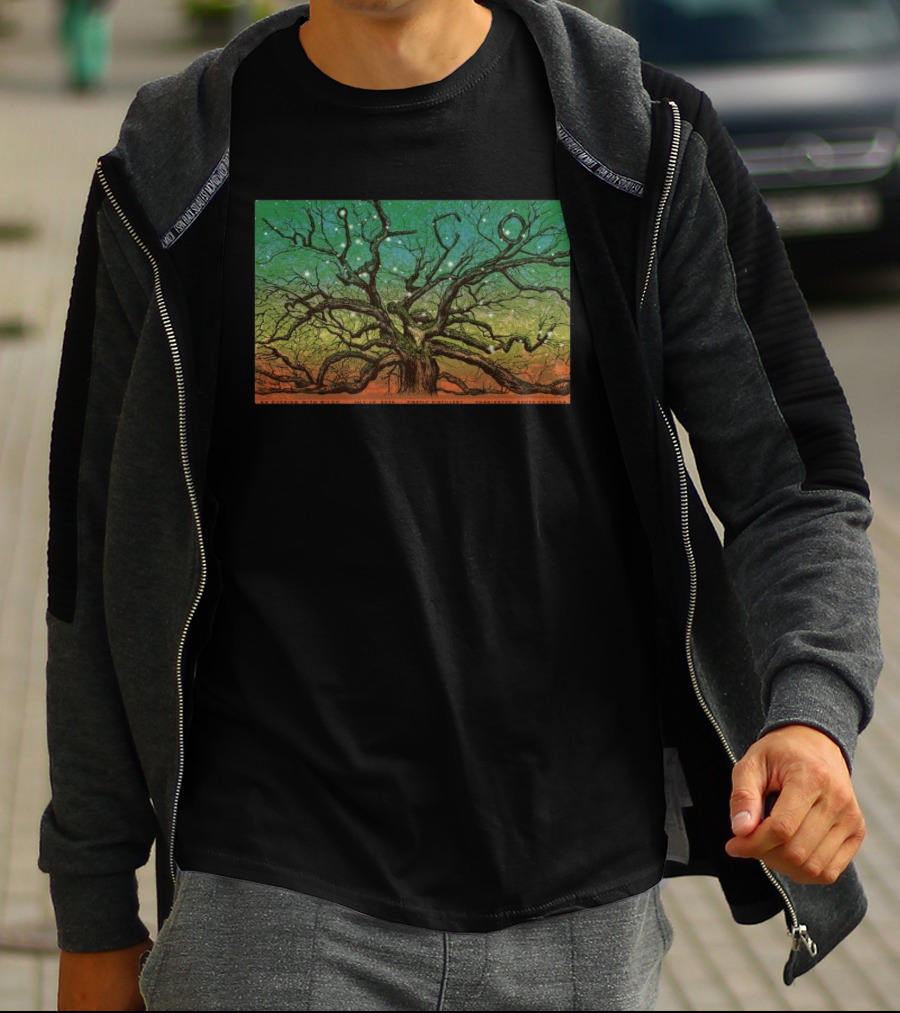 Wilco Sky Stars Charleston July 2026 T-Shirt