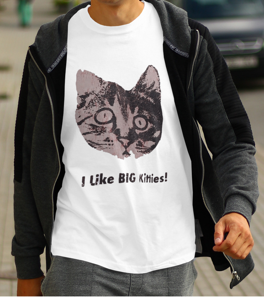 I Like Big Kitties Cat Lover Feline Enthusiast Funny Display T-Shirt