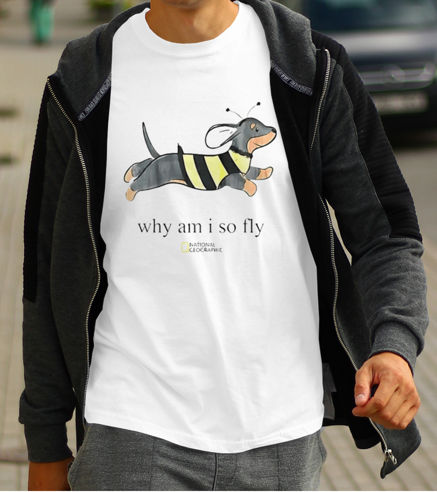 Why Am I So Fly Dachshund Bee National Geographic T-Shirt