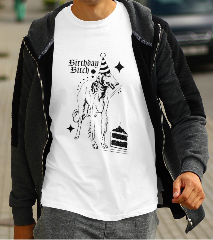 Birthday Bitch Dog Party Hat Cake Celebration Fun T-Shirt