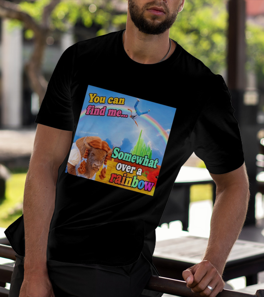 You Can Find Me Somewhat Over A Rainbow Bison Meme T-Shirt