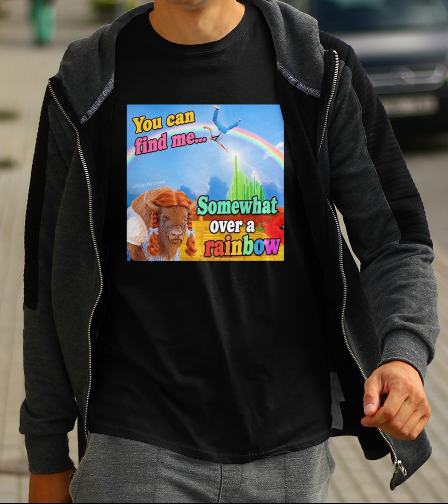 You Can Find Me Somewhat Over A Rainbow Bison Meme T-Shirt