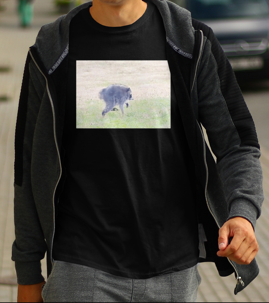 Jimothy Raccoon Walking In Grassy Field Wildlife Scene T-Shirt