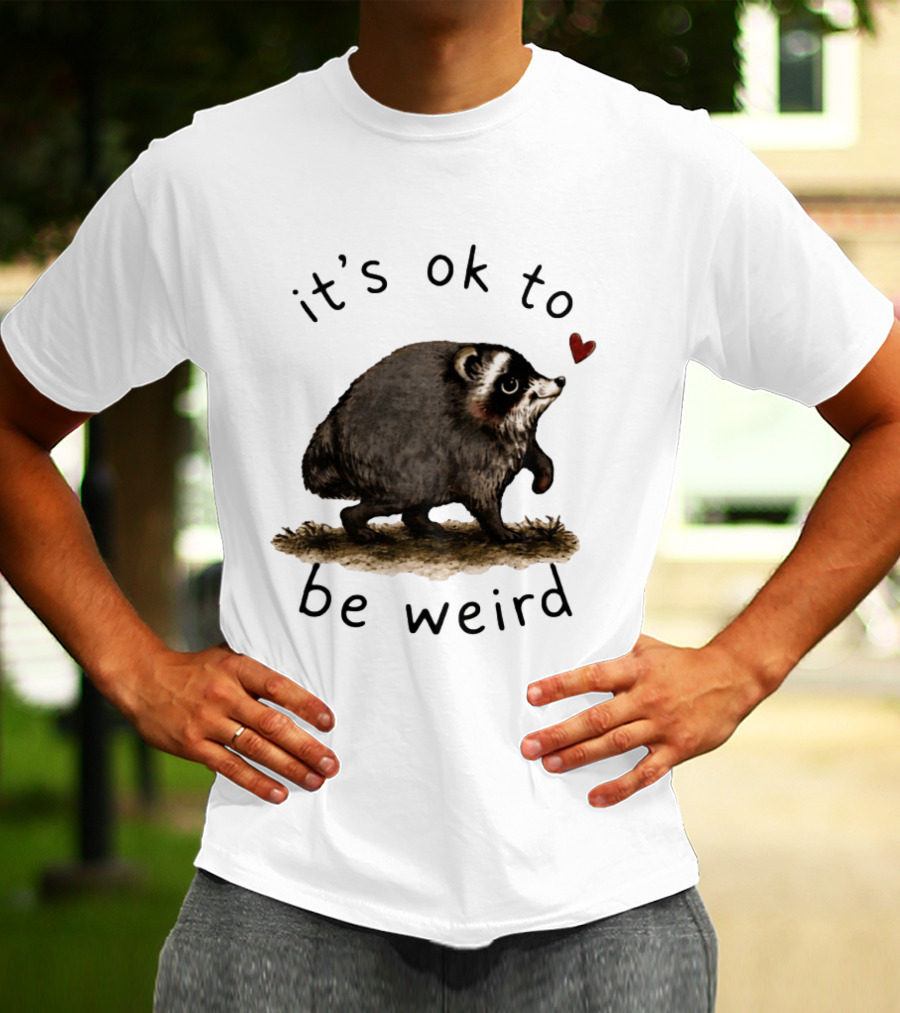 Raccoon It's Ok To Be Weird Cute Heart T-Shirt