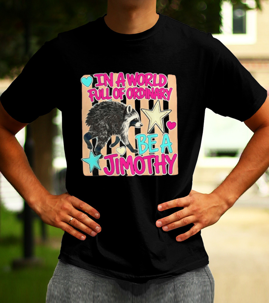 In A World Full Of Ordinary Be A Jimothy Raccoon With Stars And Hearts T-Shirt