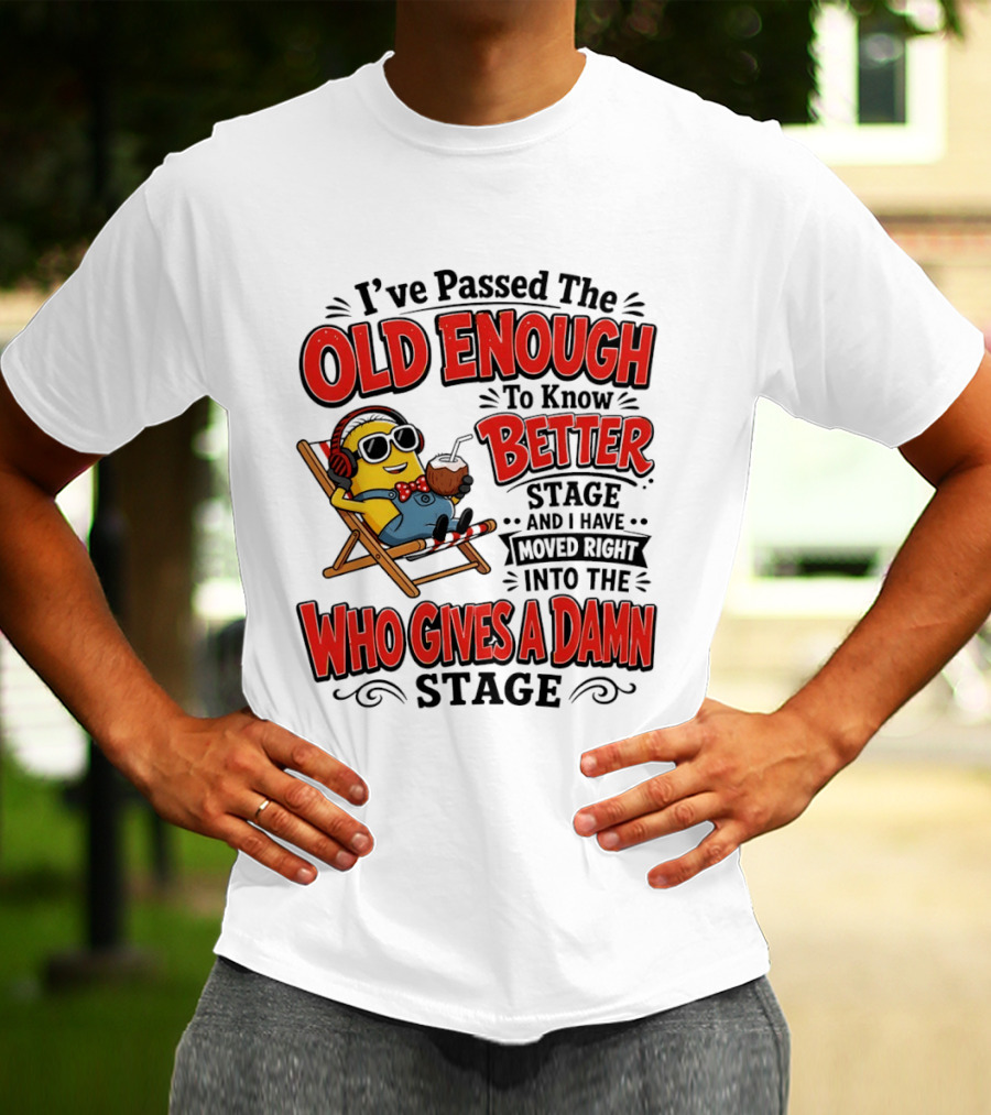 Minion I've Passed The Old Enough To Know Better Stage Who Gives A Damn Stage T-Shirt