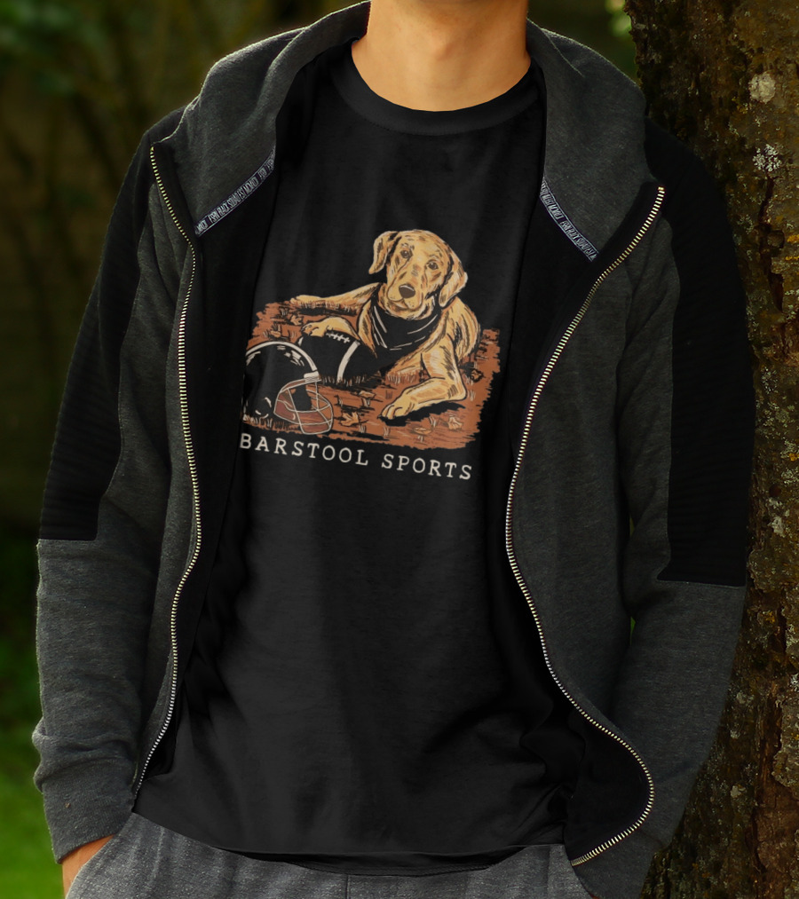 Barstool Sports Fall Football Dog With Helmet And Leaves T-Shirt