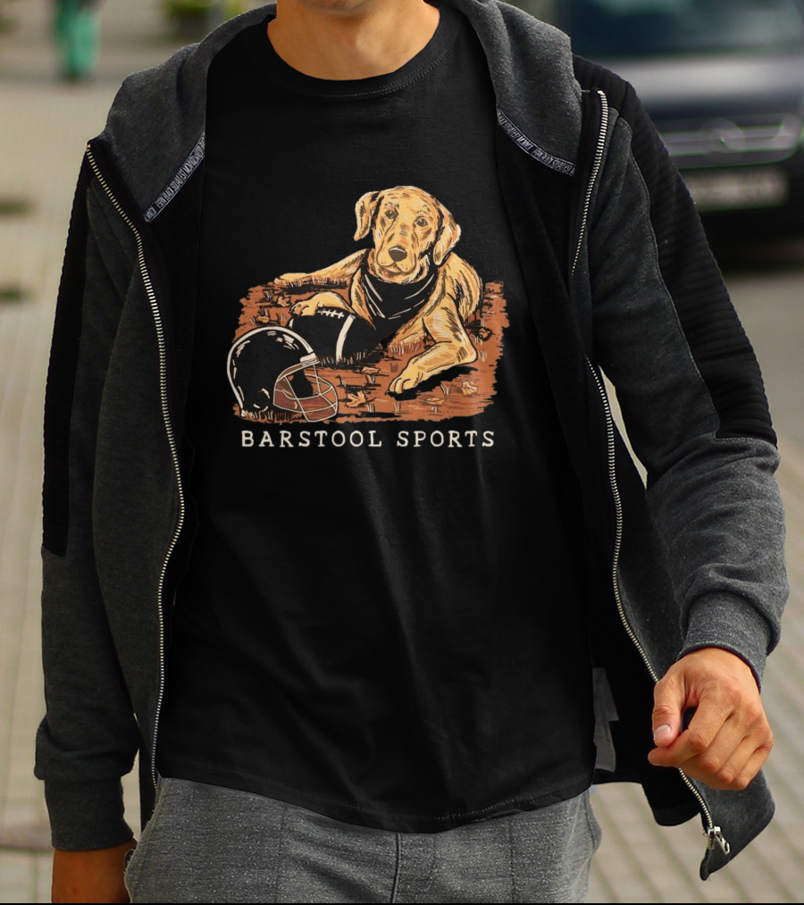 Barstool Sports Fall Football Dog With Helmet And Leaves T-Shirt