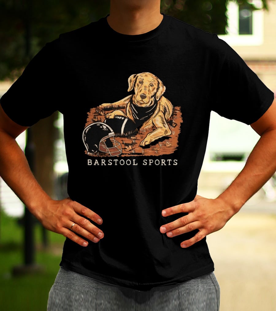 Barstool Sports Fall Football Dog With Helmet And Leaves T-Shirt