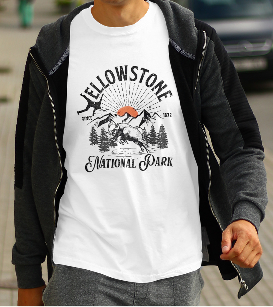 Yellowstone National Park Bison Accident Since 1872 T-Shirt