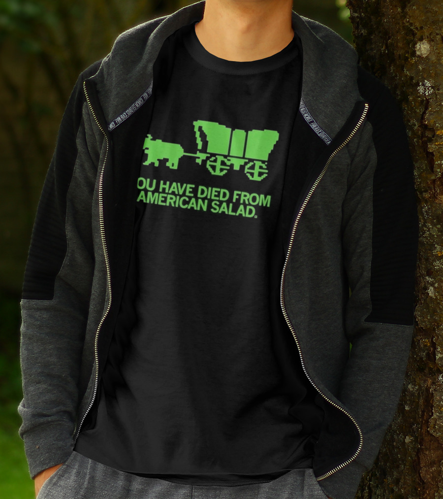 You Have Died From American Salad Ox Cart Retro Gaming Spoof T-Shirt
