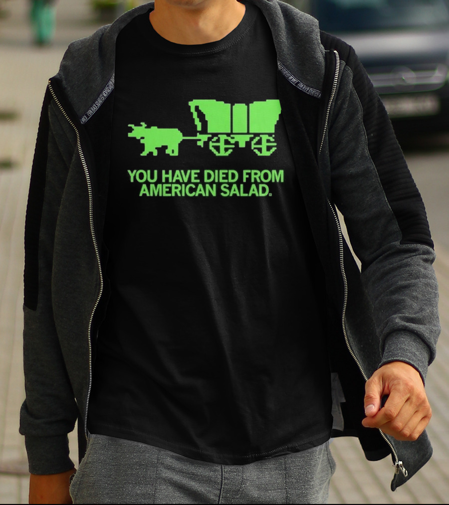 You Have Died From American Salad Ox Cart Retro Gaming Spoof T-Shirt