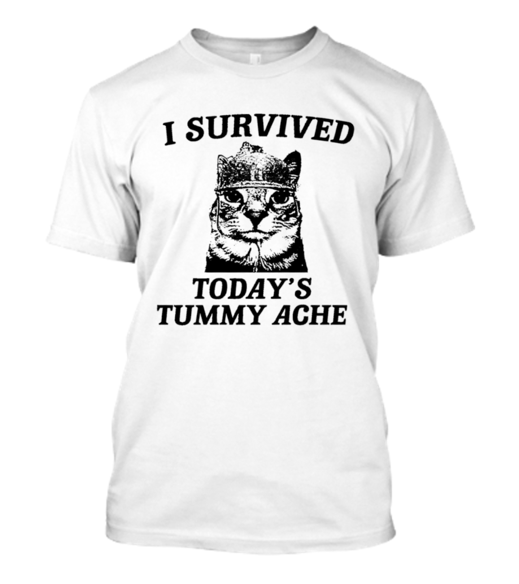 I Survived Today's Tummy Ache Cat T-Shirt