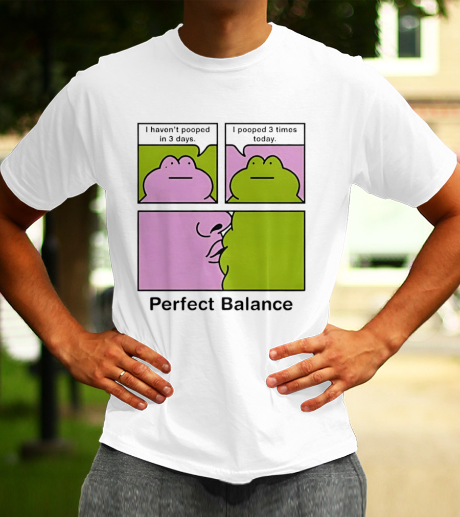 Perfect Balance Frog Meme I Haven't Pooped In 3 Days Pooped 3 Times Today T-Shirt