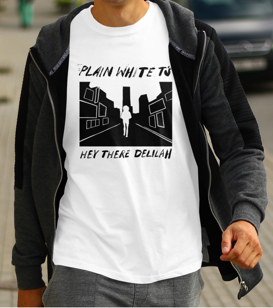 Plain White T's Hey There Delilah City T-Shirt