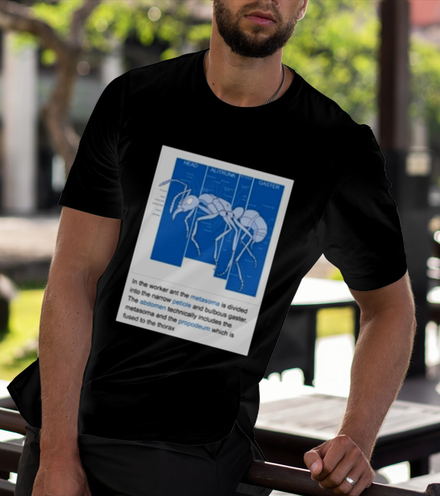 Head Alitrunk Gaster Metasoma Petiole Anatomy Of An Ant T-Shirt