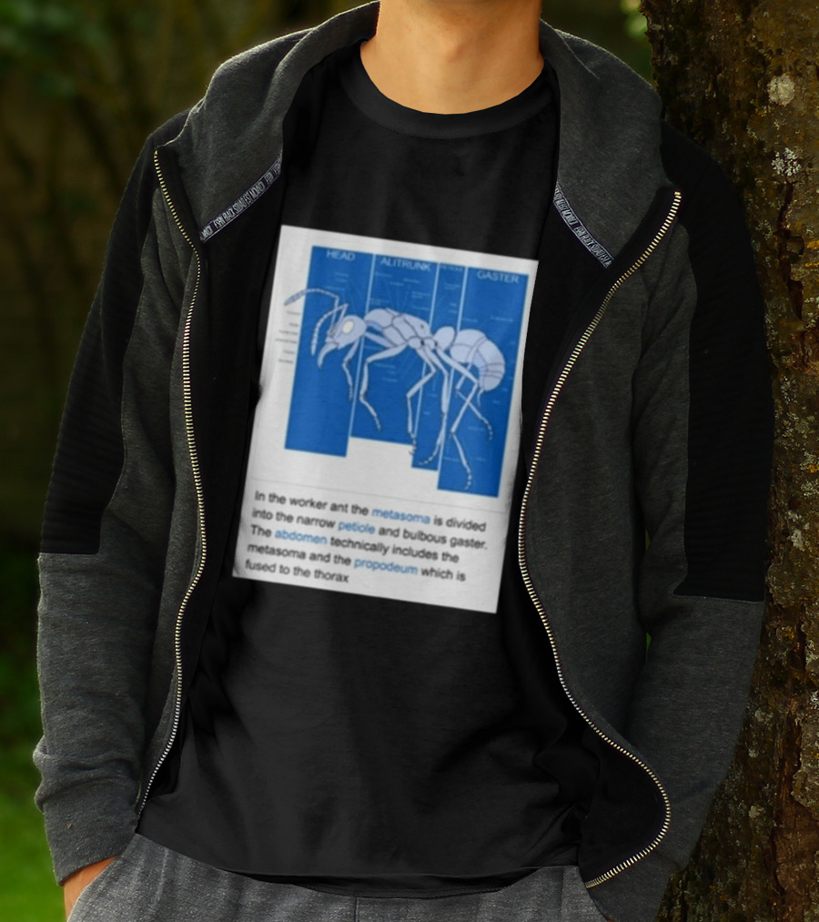Head Alitrunk Gaster Metasoma Petiole Anatomy Of An Ant T-Shirt