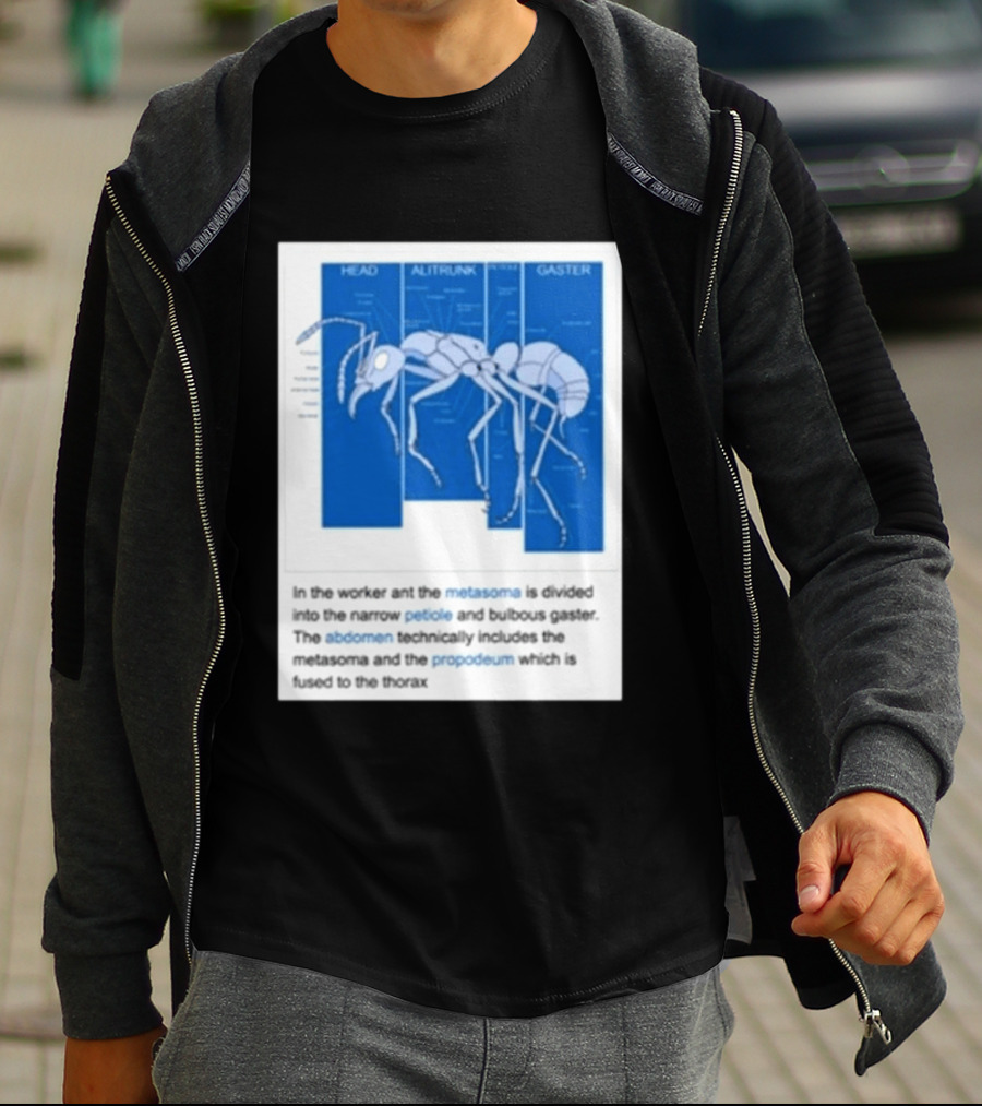 Head Alitrunk Gaster Metasoma Petiole Anatomy Of An Ant T-Shirt