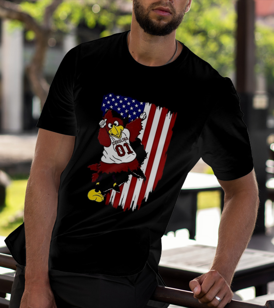 South Carolina Gamecocks Carolina 01 USA Flag We The People T-Shirt