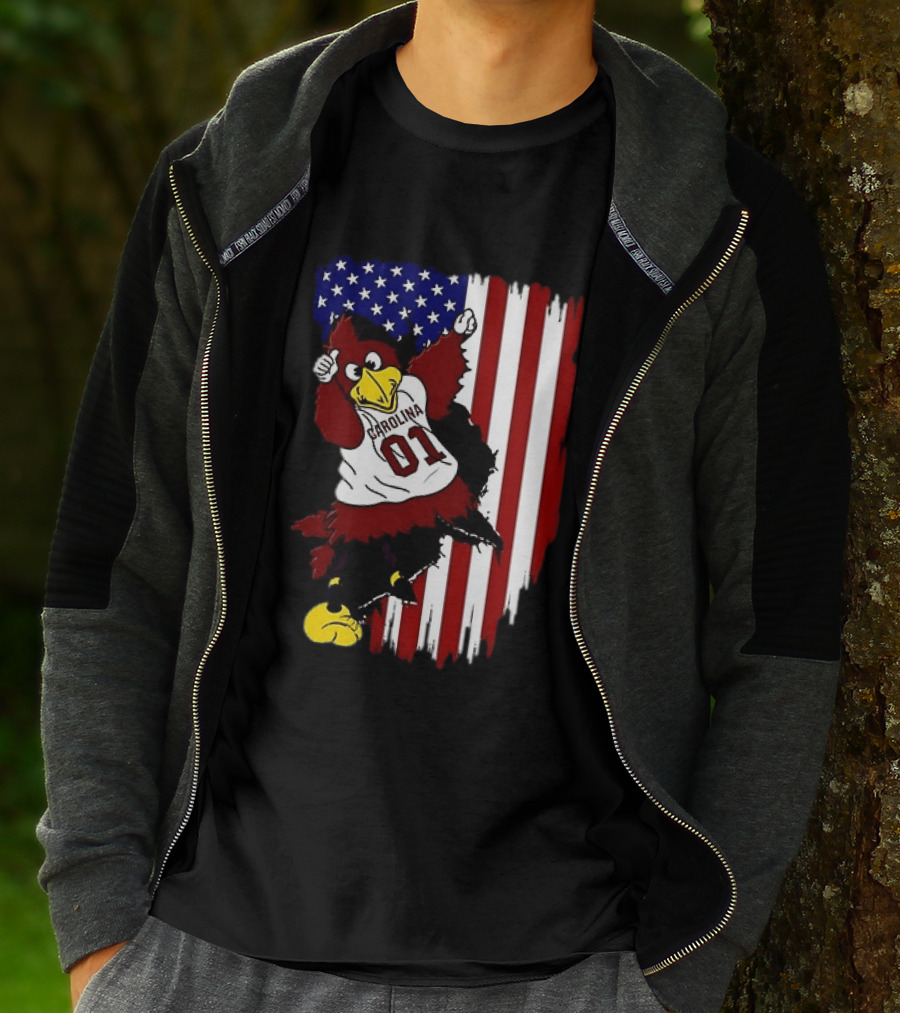 South Carolina Gamecocks Carolina 01 USA Flag We The People T-Shirt