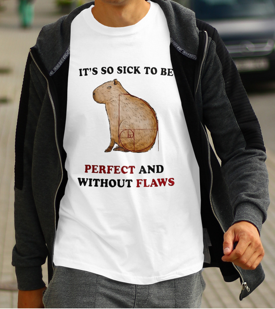 Capybara It's So Sick To Be Perfect And Without Flaws Fibonacci Spiral T-Shirt
