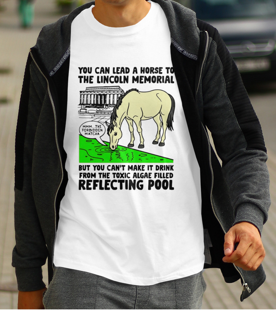 You Can Lead A Horse To The Lincoln Memorial Nnmm This Forbidden Matcha Toxic Algae Filled Reflecting Pool T-Shirt