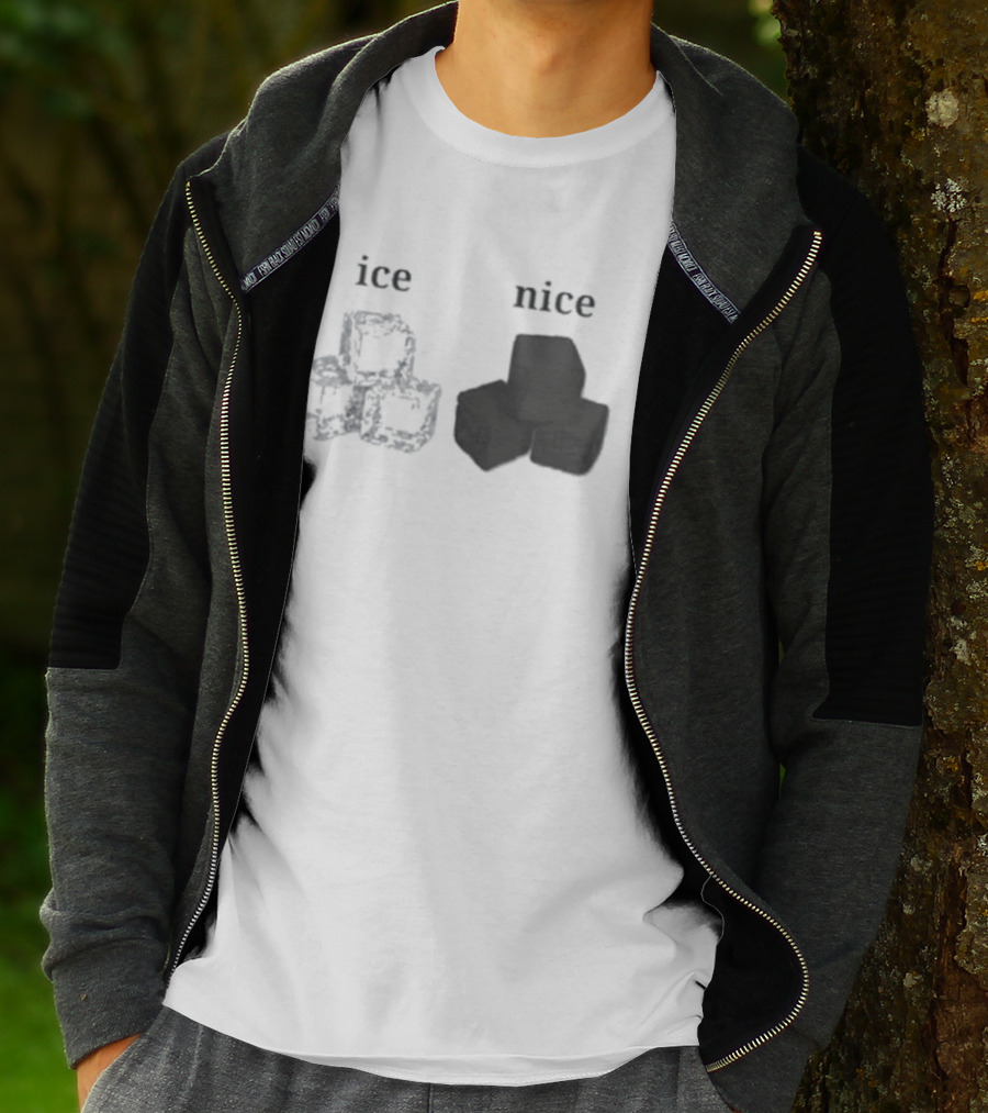 Ice Vs Nice Cubes Playful Word T-Shirt
