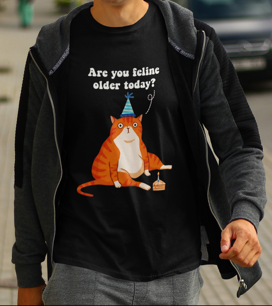 Are You Feline Older Today Birthday Cat With Party Hat And Cake T-Shirt
