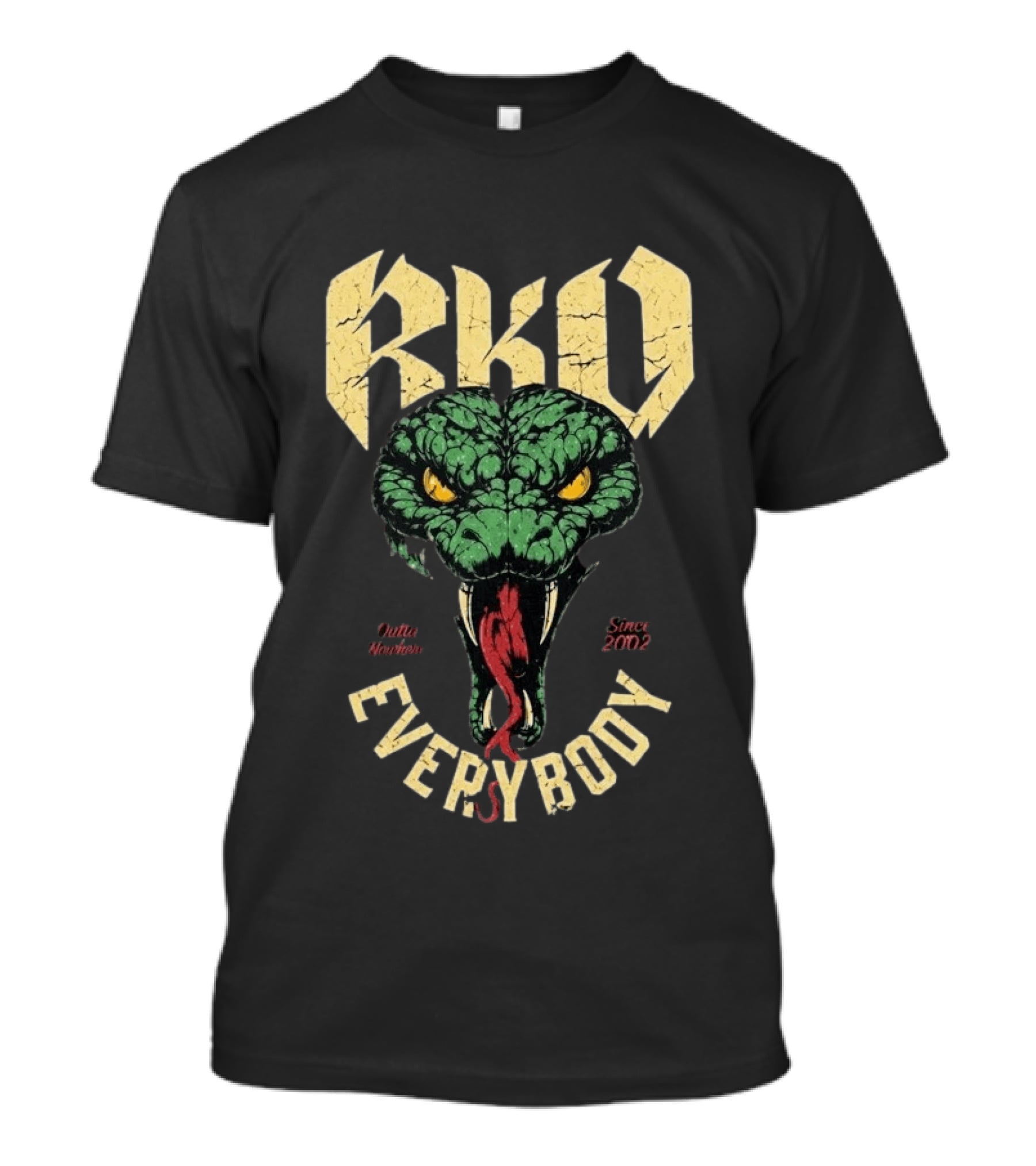Randy Orton RKO Viper Outta Nowhere Everybody Since 2002 T-Shirt